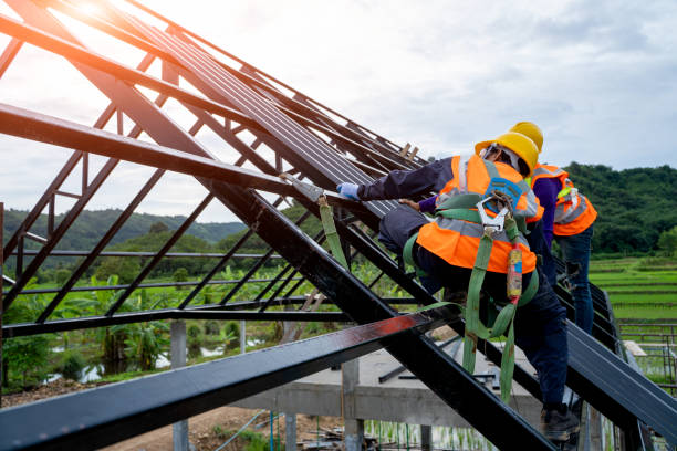 Best Storm Damage Roof Repair  in Inez, TX