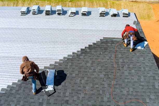 Best Roof Gutter Cleaning  in Inez, TX