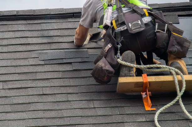 Best Roof Repair Services  in Inez, TX