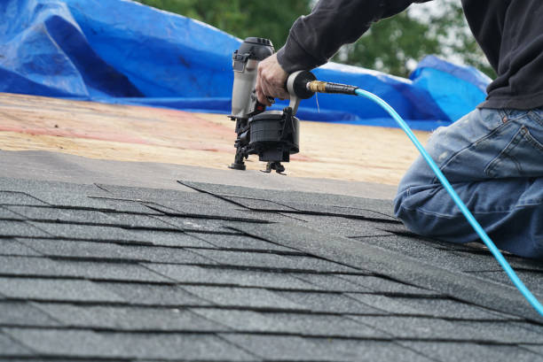 Best Flat Roof Repair Services  in Inez, TX