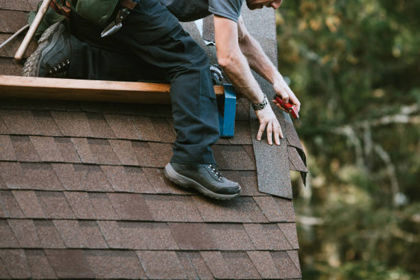 Best Roof Leak Repair  in Inez, TX
