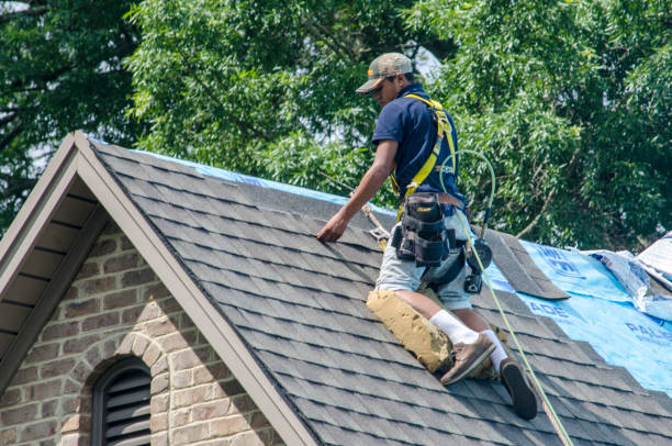 Professional Roofing Contractor in Inez, TX